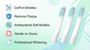 Electric Toothbrush Heads DuPont Bristles Key Features Graphic
