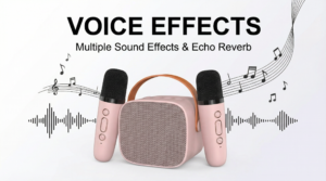 Portable Bluetooth Karaoke Speaker Set Magic Sound Effect