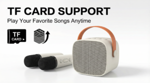 Portable Bluetooth Karaoke Speaker Set TF Card Compatibility